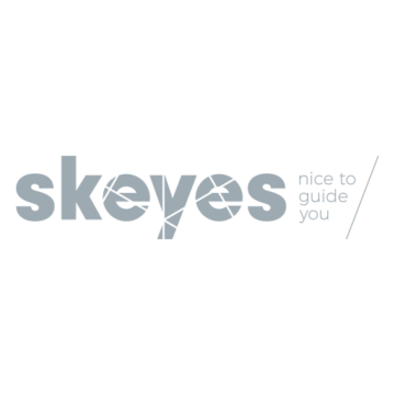 Skeyes weblogo Gray
